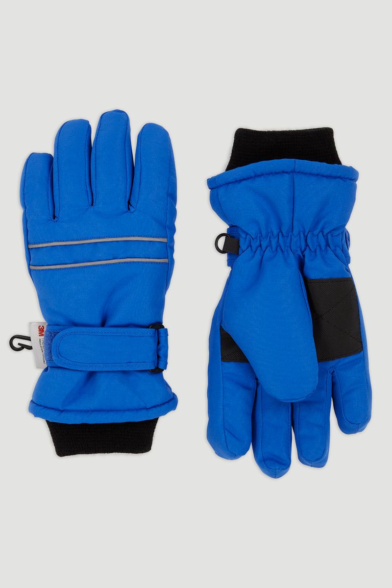 Thinsulate Blue Ski Glove