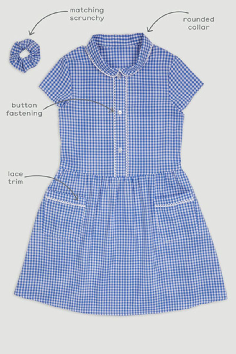 gingham dress blue