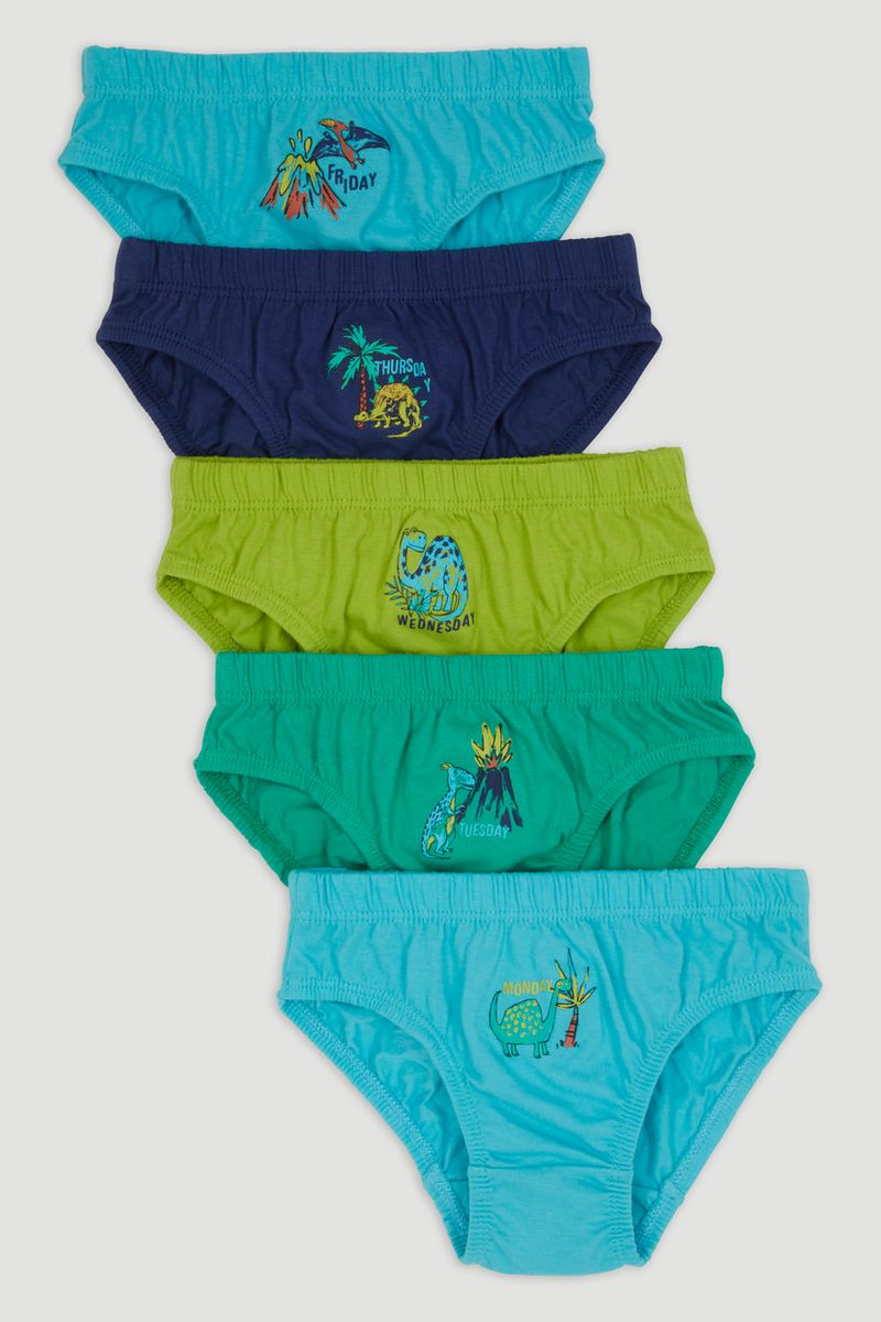 5 Pack Days of the Week Dino Briefs