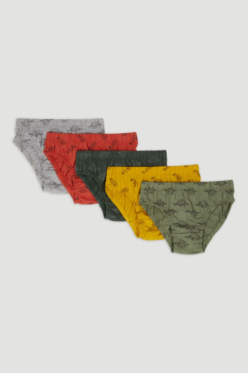 5 Pack Geometric Dino Briefs