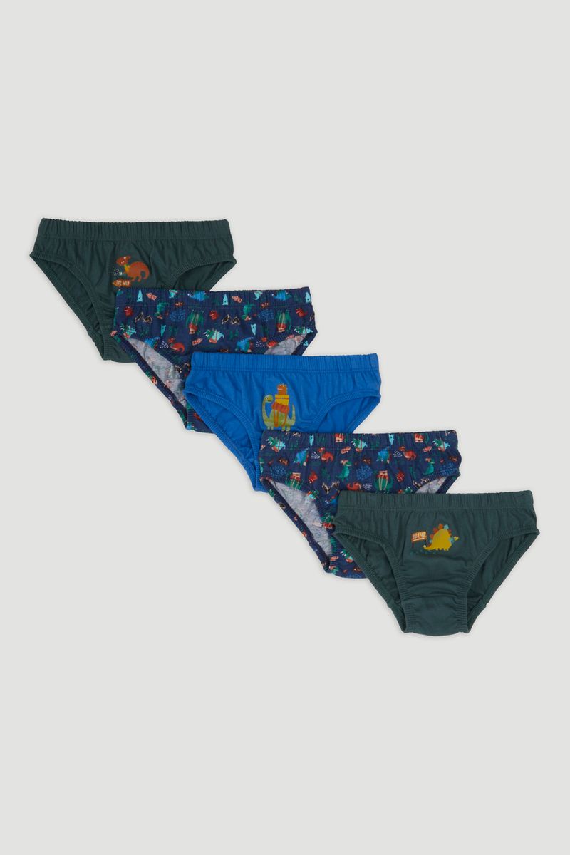 5 Pack Dino Briefs