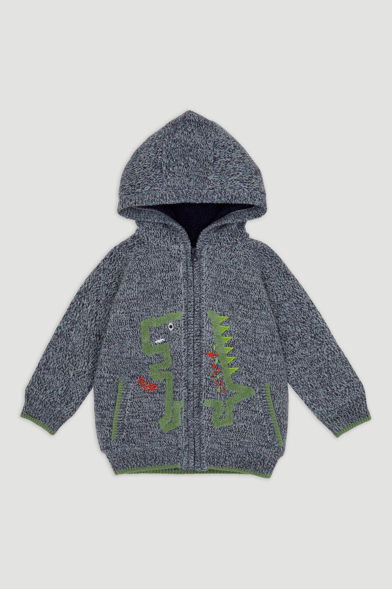 Dino Fleece Lined Hoodie