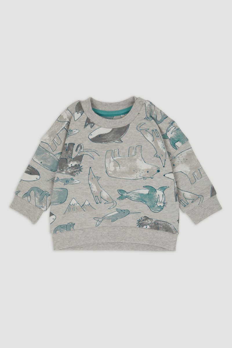Arctic Print sweatshirt