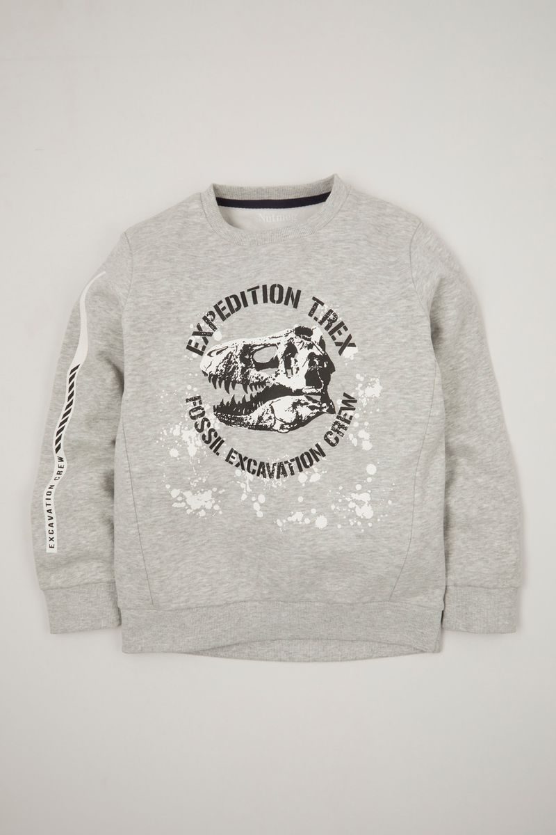 Dino Expedition sweatshirt