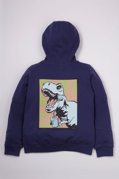 dinosaur hoodie next