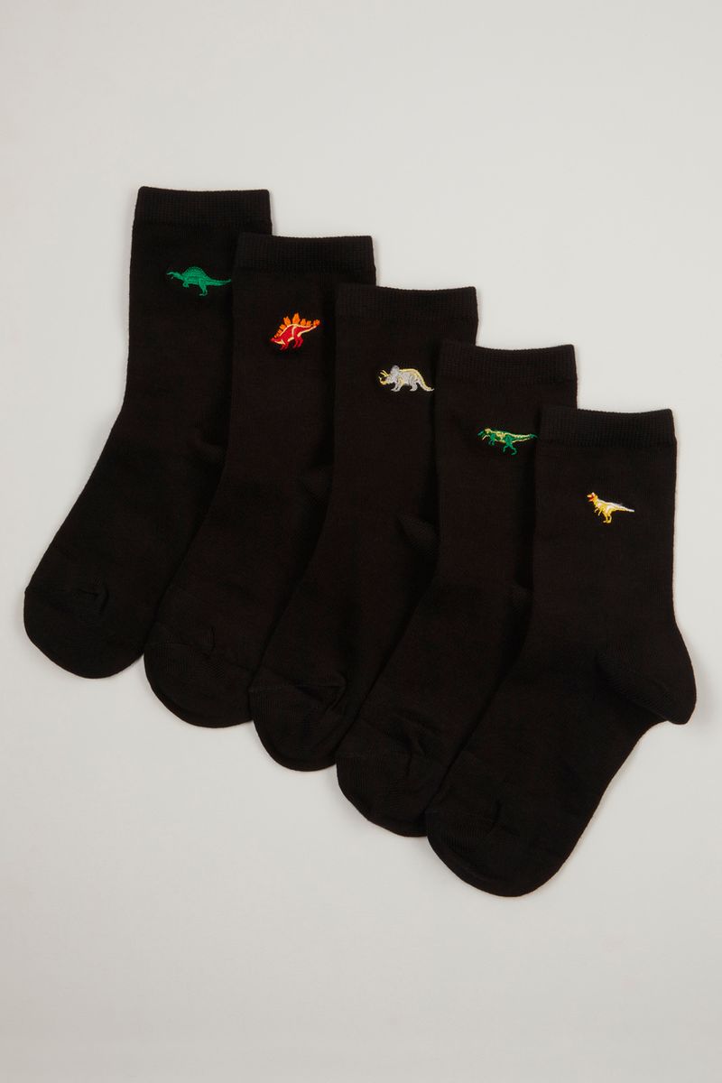 5 Pack Dino Embroidered Socks
