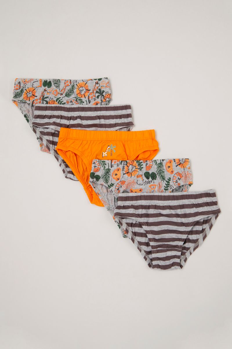 5 Pack Safari Briefs