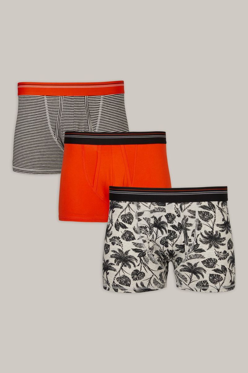 3 Pack Orange & Palm Trunks