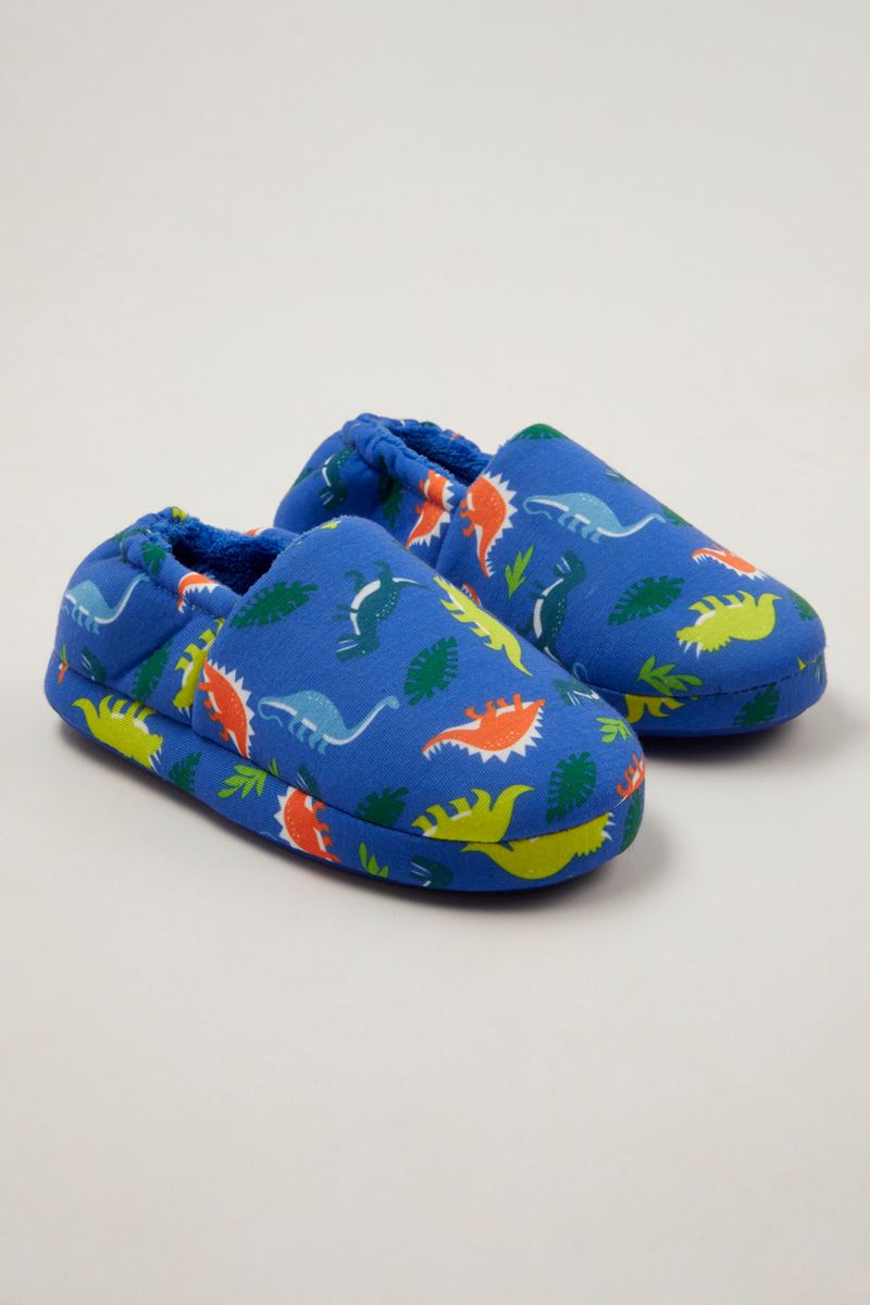 Dinosaur Slippers