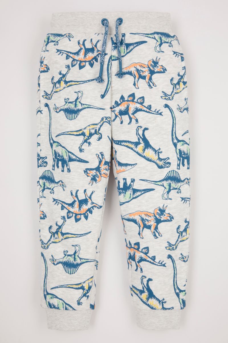 Dino Print Co-ord Joggers