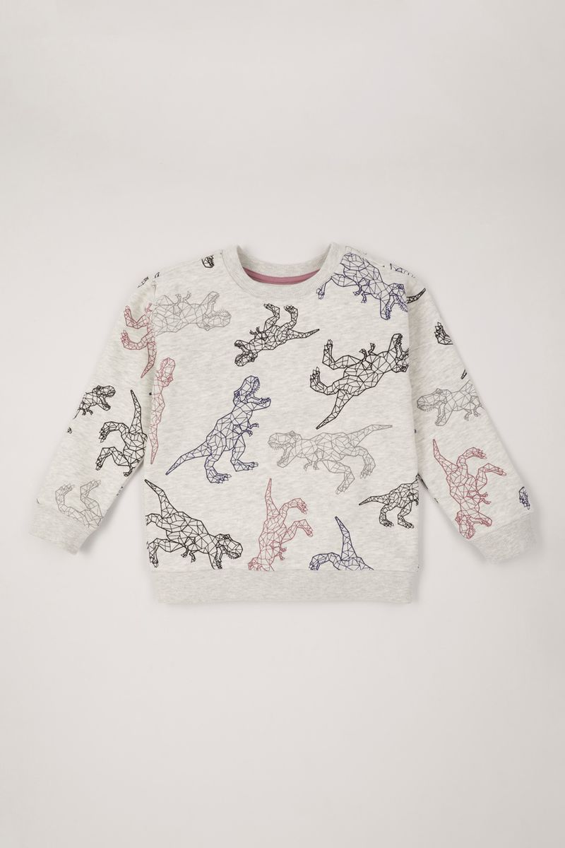 Colourful Dinosaur sweatshirt