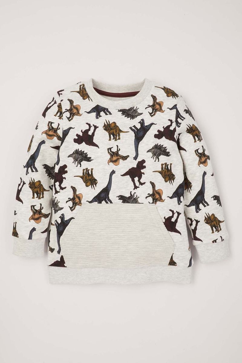 Dinosaur Rib Pocket Sweatshirt