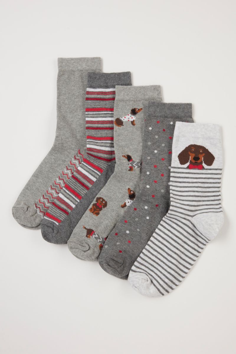 5 Pack Dachshund Socks