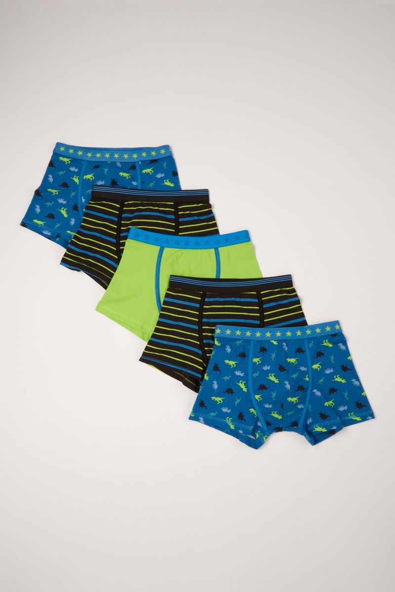 5 Pack Neon Dinosaur Trunks