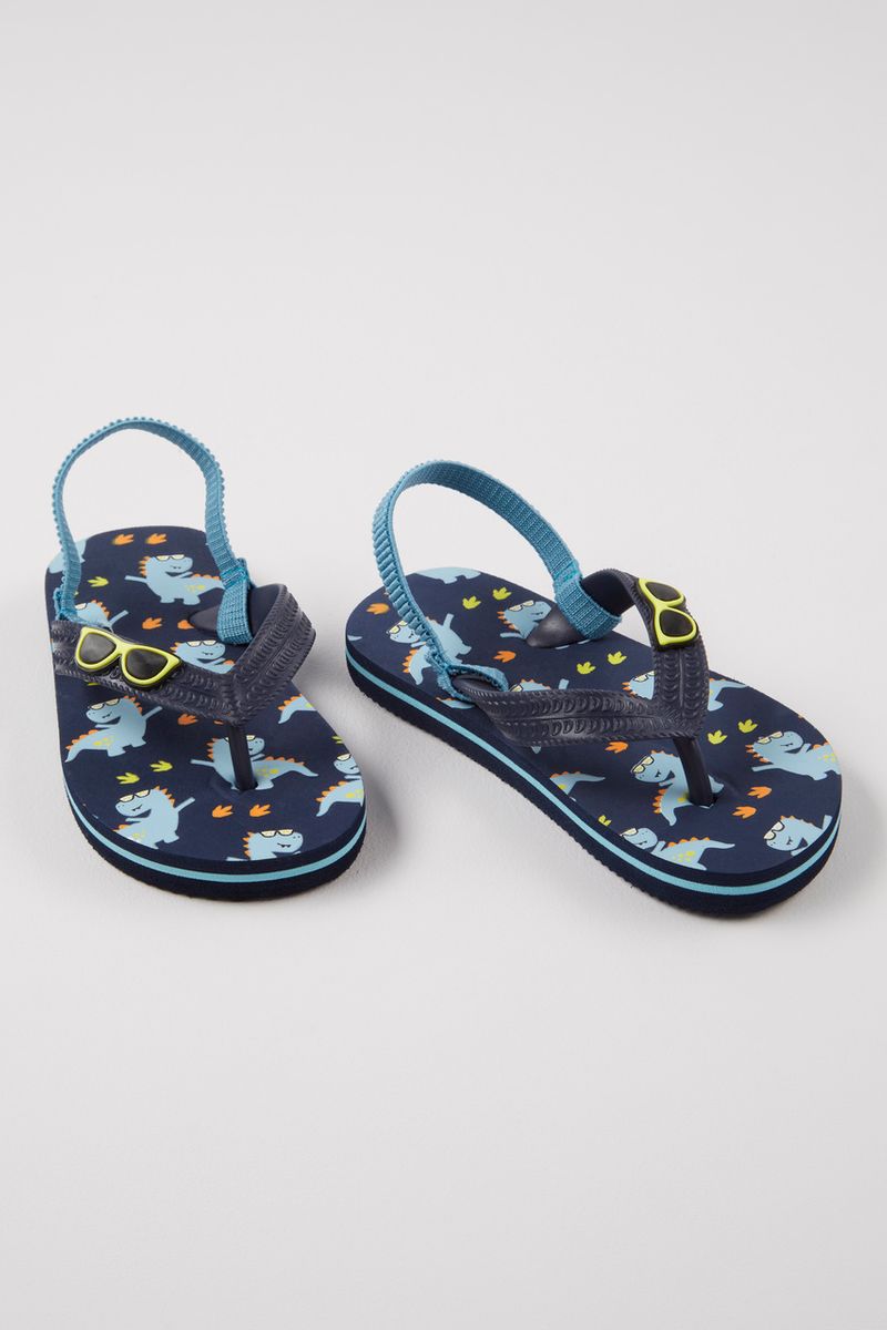 Dinosaur Flip Flops