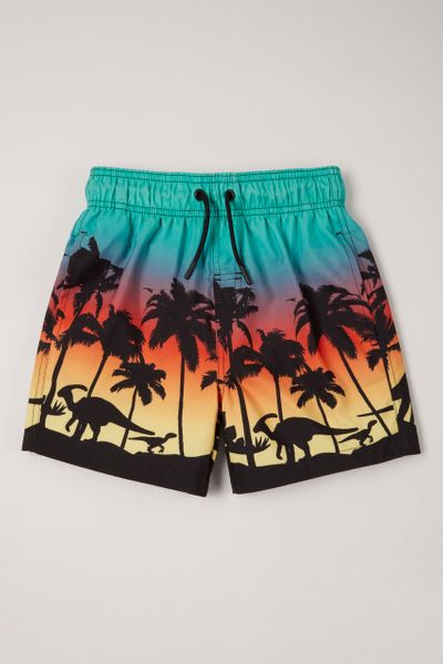 Sunset Dino Swim Shorts
