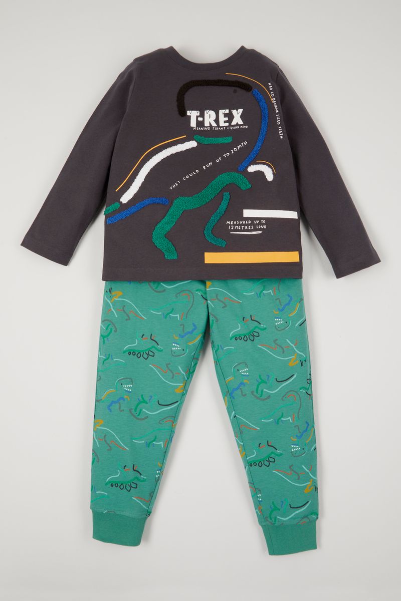 Dinosaur Fun Fact pyjamas