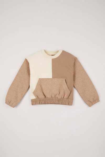 Brown Colour Block Sweatshirt