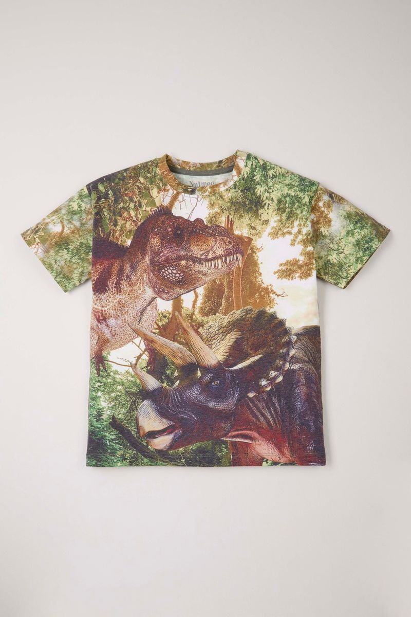 Dinosaur Graphic Print T-shirt